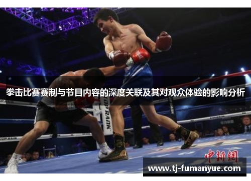拳击比赛赛制与节目内容的深度关联及其对观众体验的影响分析