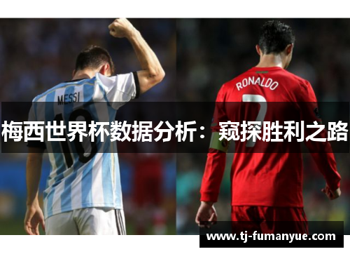 梅西世界杯数据分析：窥探胜利之路